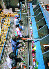MRF Sorting Line Conveyors
