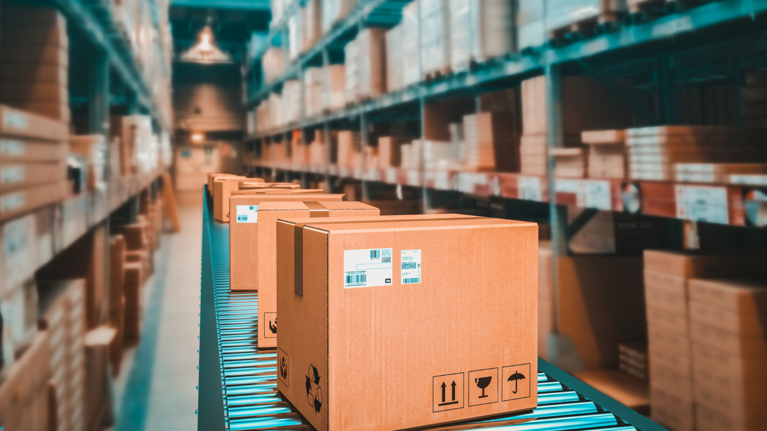 Stainless Steel Conveyor Belts